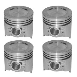 Set pistoane din 4 piese 21011-1004015 + 4020