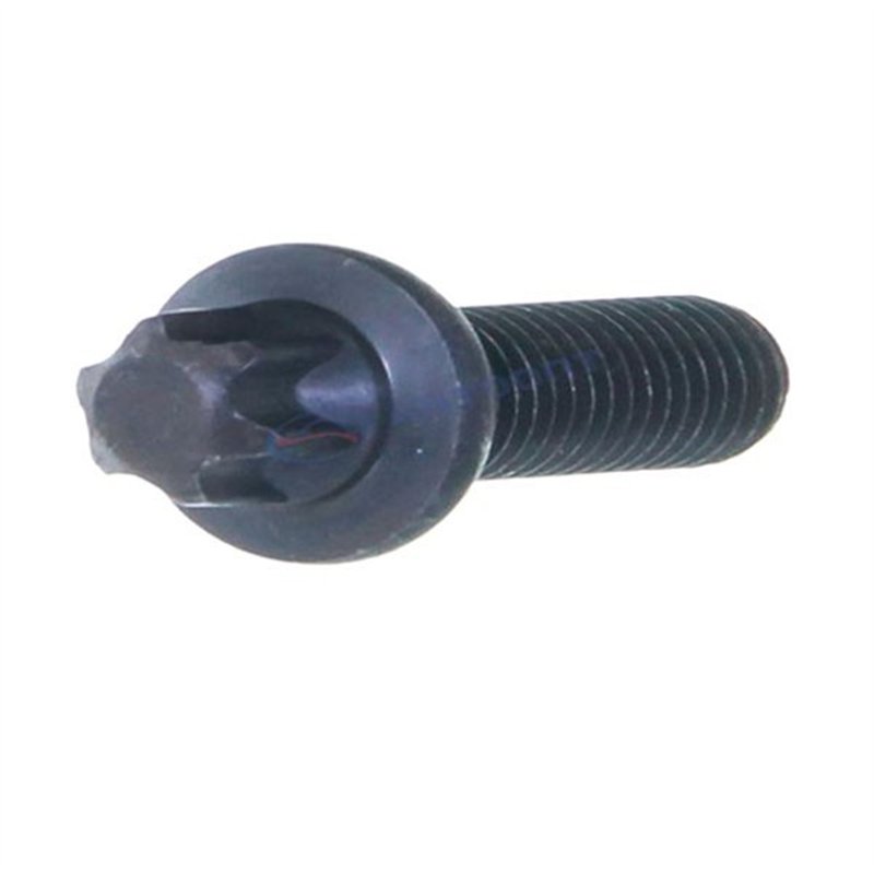 Skrutka M10x1,25 2108-2904194