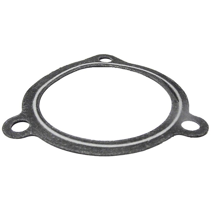 Tesnenie vodnej pumpy 2110-1307042