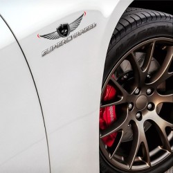 Lada 3D znak nalepovací