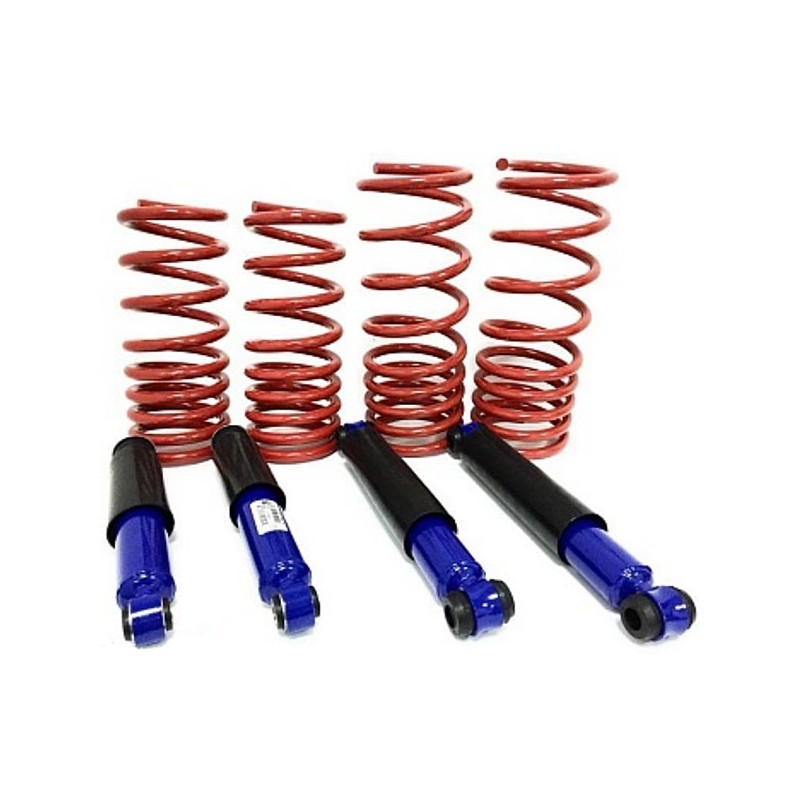Un set de amortizoare și arcuri pentru mașini VAZ 2101 - 2107 TUNING