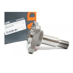 Osa zadního náboje 430423019R