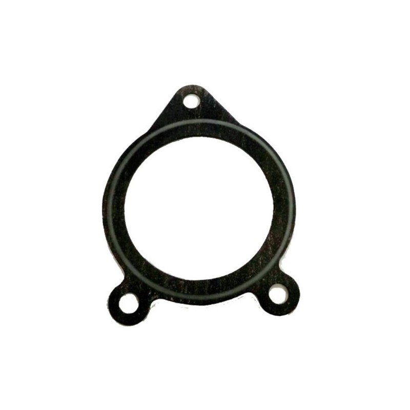 Tesnenie škrtiacej klapky 21214-1148015-00