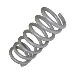 Vordere Feder Ptimas 2121-2902712