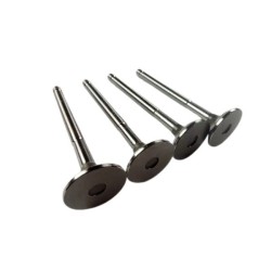 Ventil výfukový sada SAPZ 2101-1007012