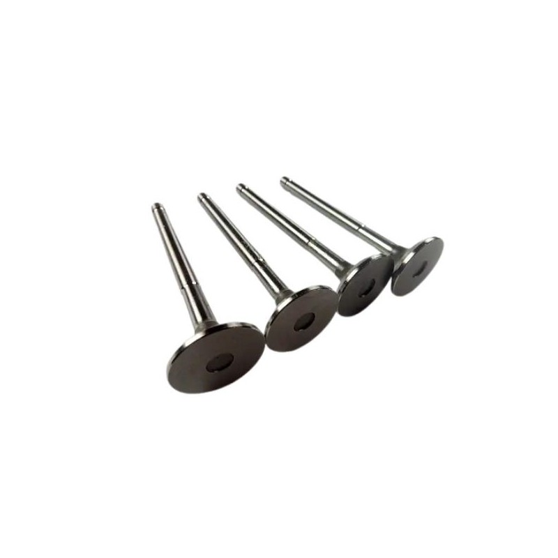 Ventil výfukový sada SAPZ 2101-1007012