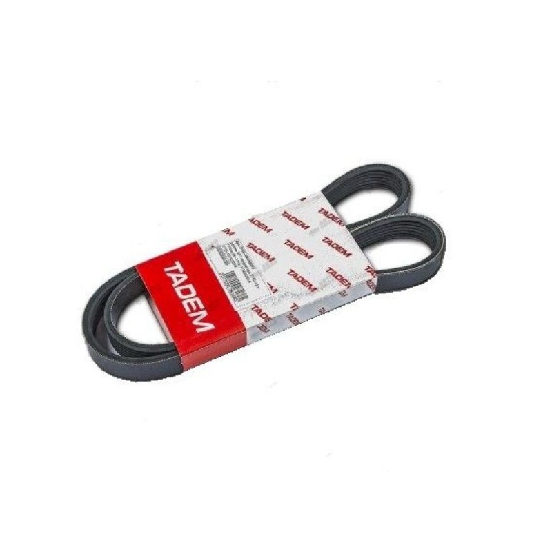 Tadem 2110-1041020 scripete alternator