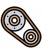 Distribucijski mehanizem